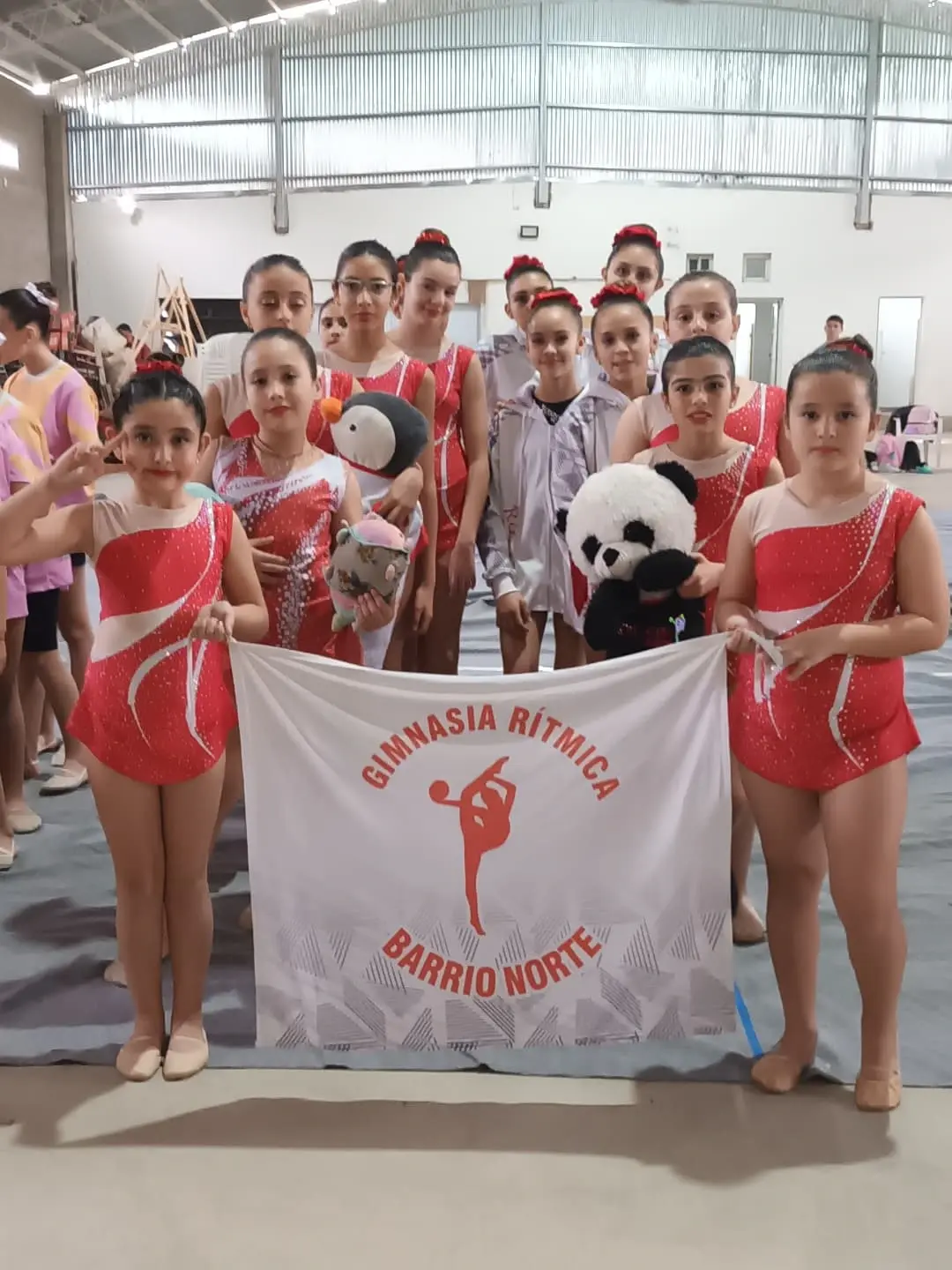 Gimnasia Rítmica Barrio Norte 8